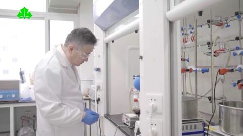智能時代勞動者之歌 當高分子材料研發遇見AI頭腦風暴